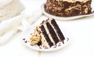 Chocolate Mocha Cake